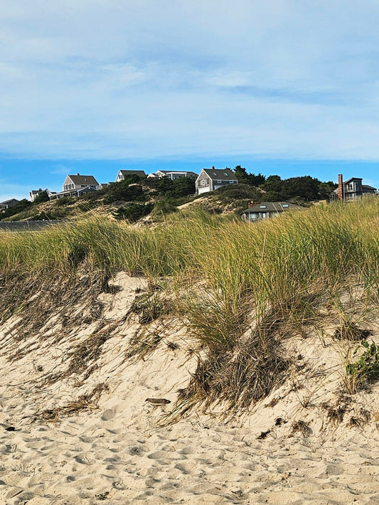 Sunburnt, Salty, and Slightly Bougie: A Cape Cod Memoir