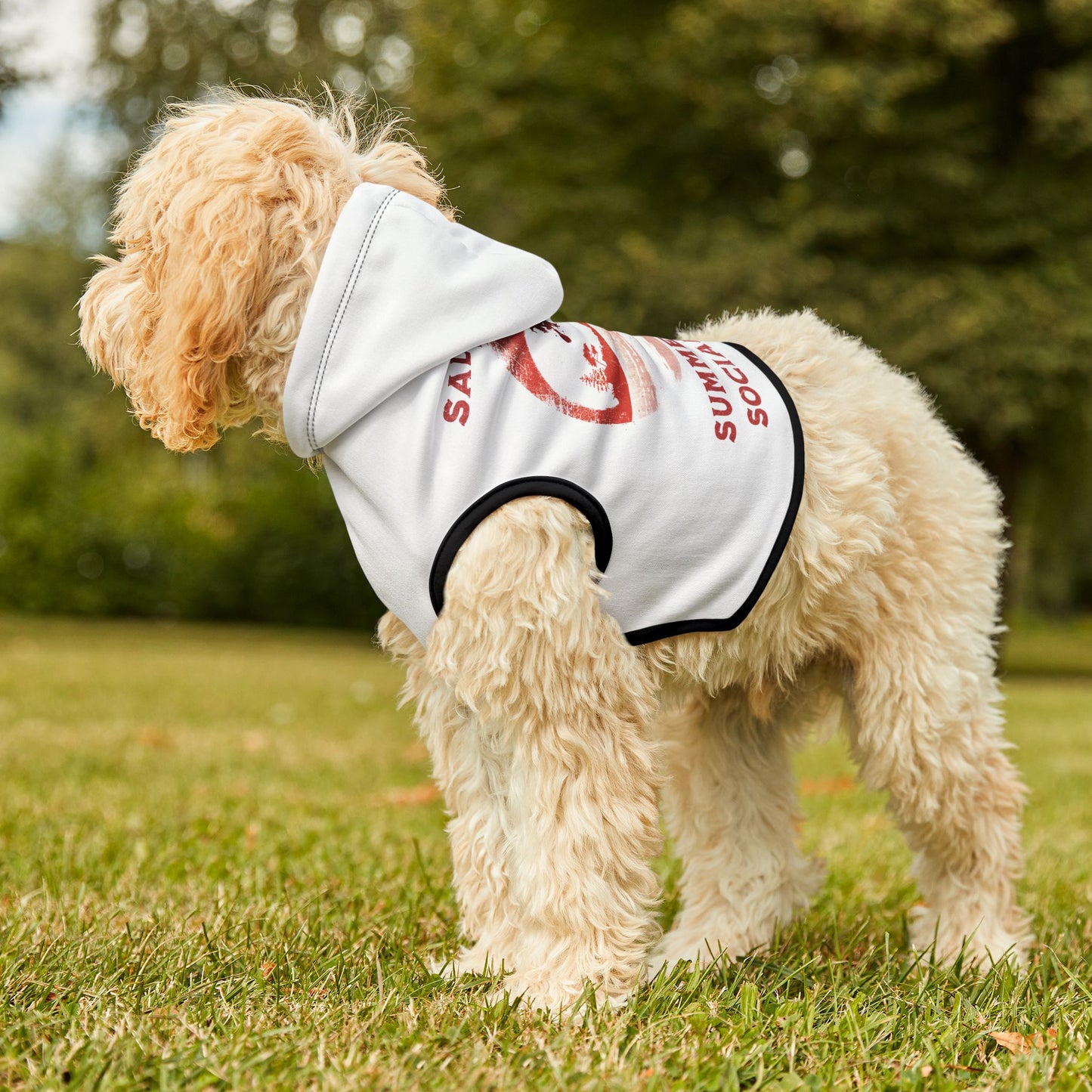 Dog Hoodie, Summerween