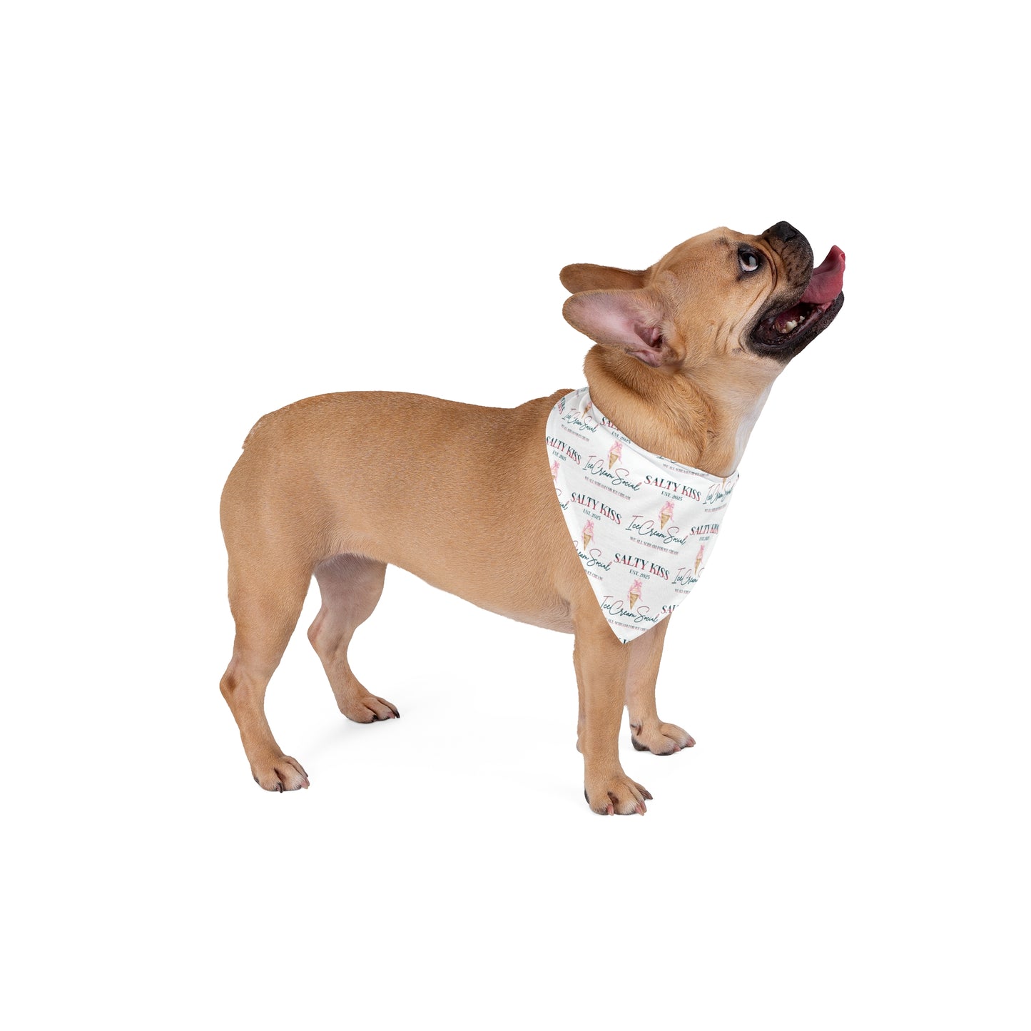 Pet Bandana, Ice Cream