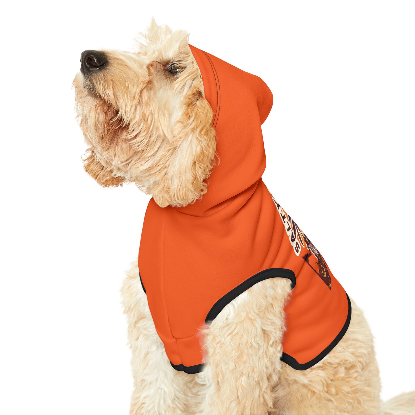 Dog Hoodie, Summerween