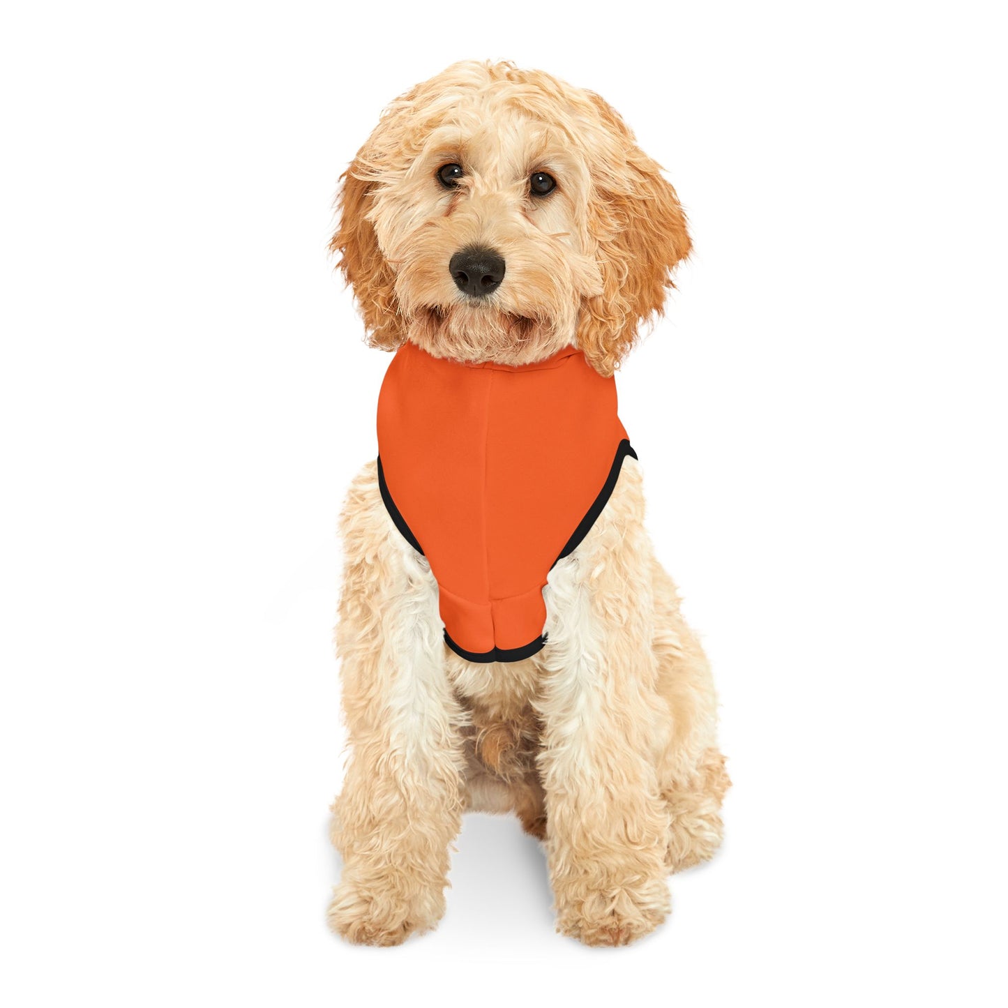 Dog Hoodie, Summerween