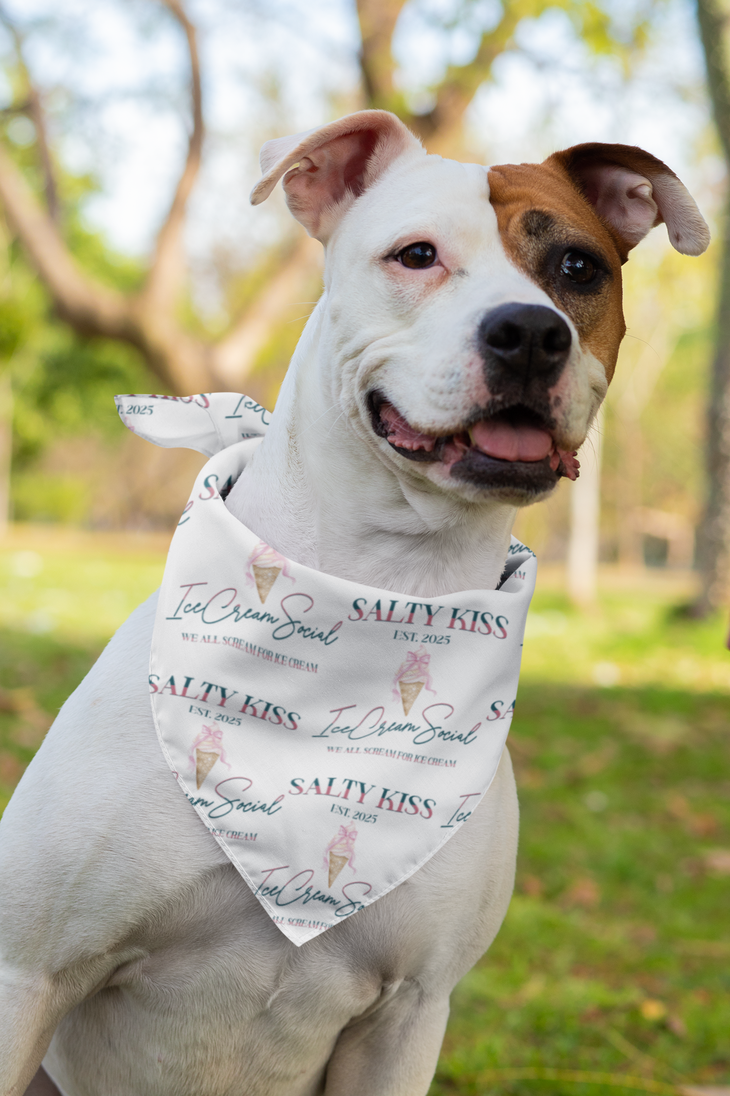 Pet Bandana, Ice Cream