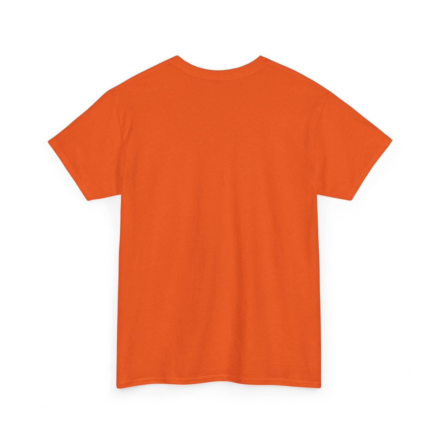 Unisex T-Shirt, Summerween Pirate