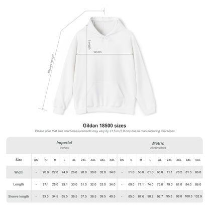Hooded Sweatshirt, Summerween Pirate