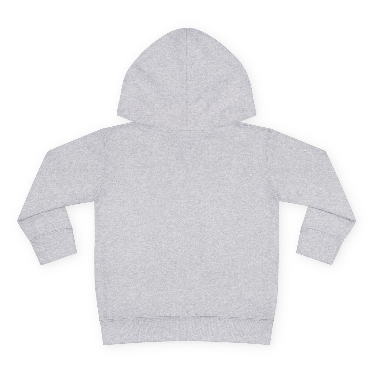 Toddler Hoodie, Seashells
