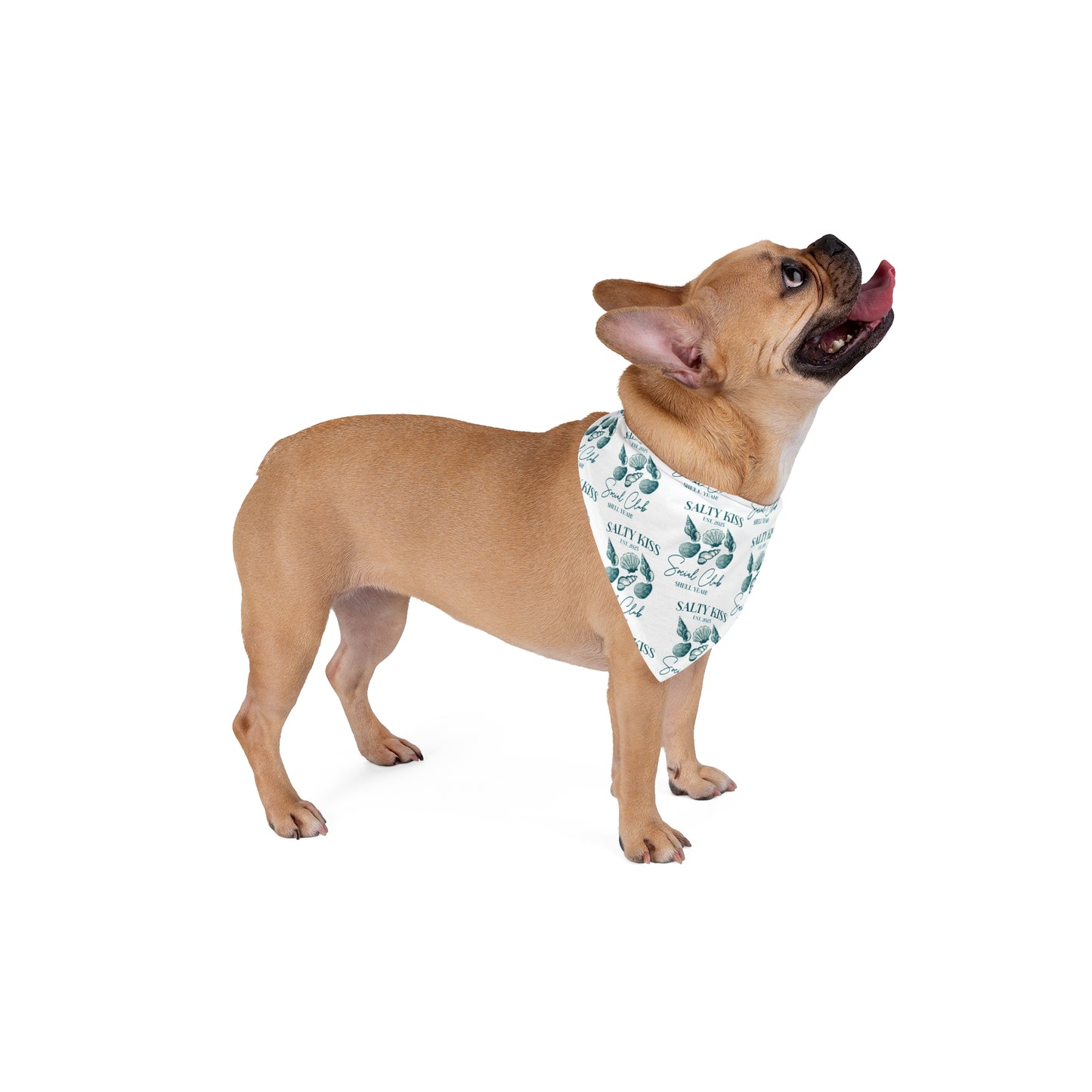 Pet Bandana, Seashells