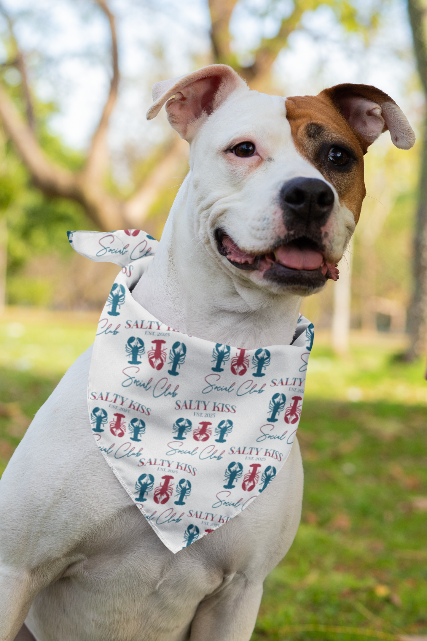 Pet Bandana, Lobster