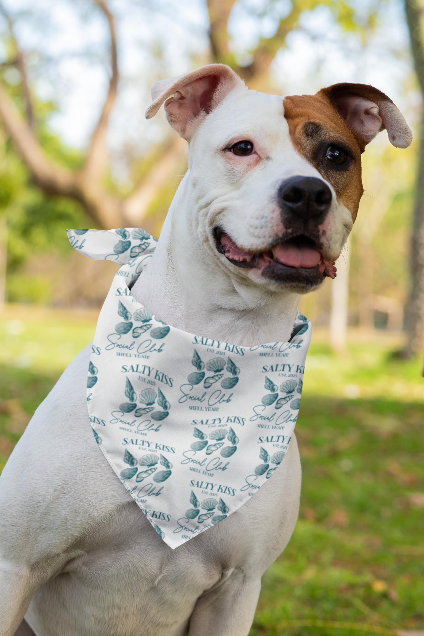 Pet Bandana, Seashells