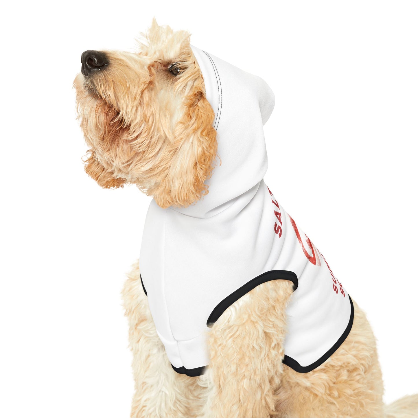 Dog Hoodie, Summerween