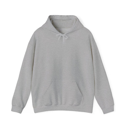 Hooded Sweatshirt, Summerween Pirate
